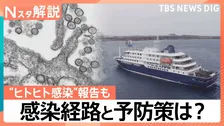 ハンタウイルスで唯一“ヒトヒト感染”報告も…「アンデス株」の感染経路と予防策は？【Nスタ解説】