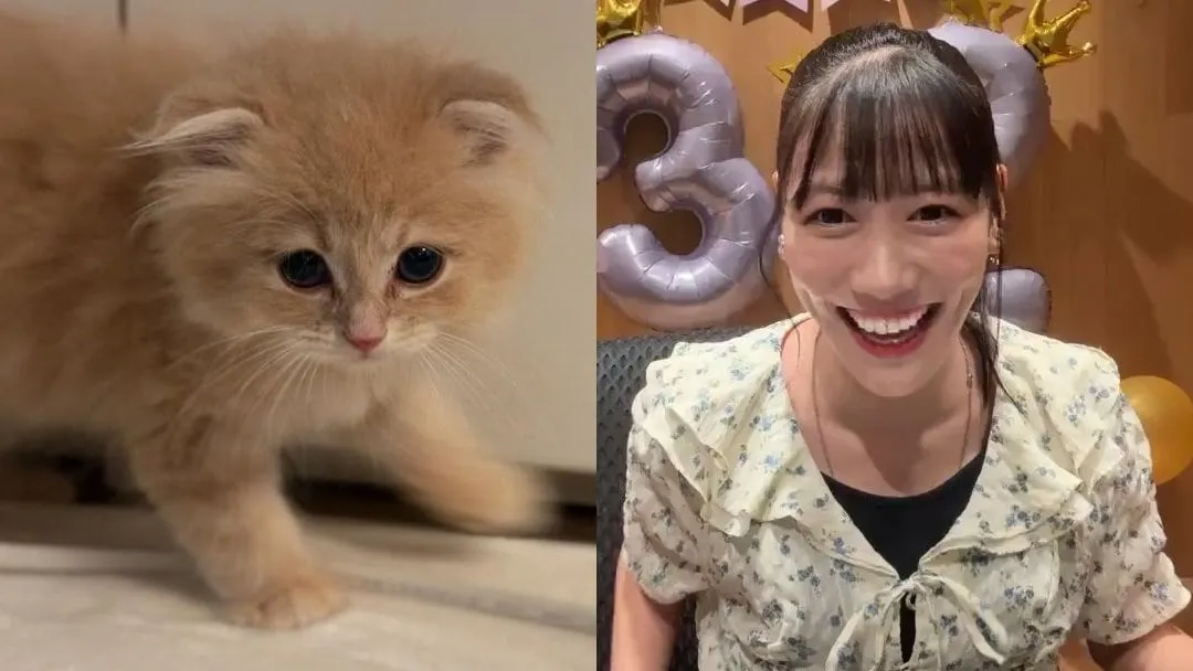 【 ねこ 】高城れにさん「新しい家族ができました！」「名前はZZ(ダブルゼータ)くんです！」フォロワーから祝福と愛情【 ももいろクローバーZ 】