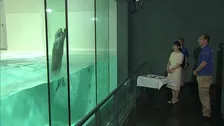愛子さま　鳥羽水族館でラッコのジャンプに笑顔　三重県　きょうは伊勢神宮参拝と“お木曳”視察