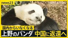 お別れ前にファン集結　上野のパンダ「シャオシャオ」と「レイレイ」“1分制限”も大行列　来月下旬に中国返還へ【news23】