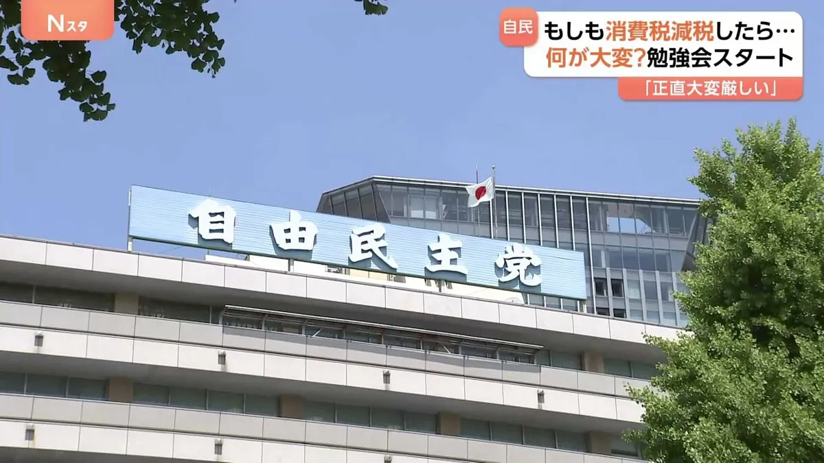 “消費税の減税”実施が可能か自民が勉強会　意見の集約は難航が予想