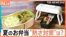 【夏の弁当作り 注意点は？】季節外れの暑さ「お弁当事情」調査、忙しい朝の粗熱対策 5分で解消【Nスタ解説】