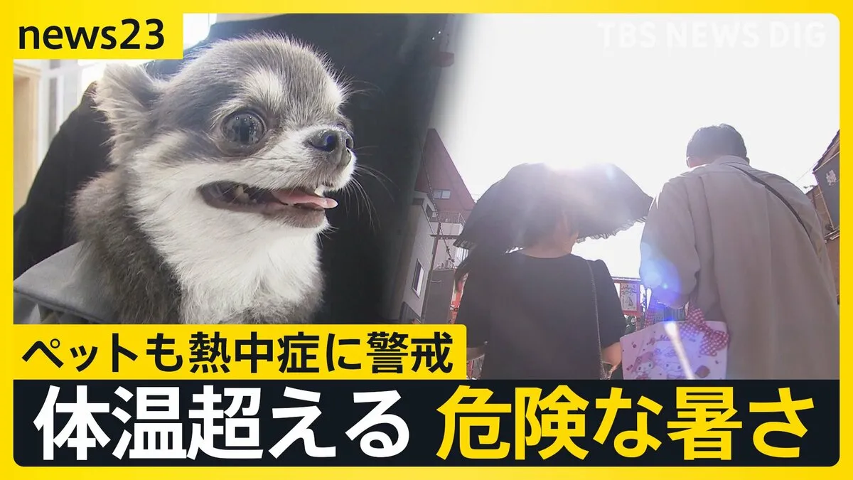 「散歩控える勇気を」ペットも熱中症に警戒…猛暑日７１地点　梅雨明けはいつに？　ビアガーデンで働くスタッフは“命綱”ネッククーラーで暑さ対策【news23】