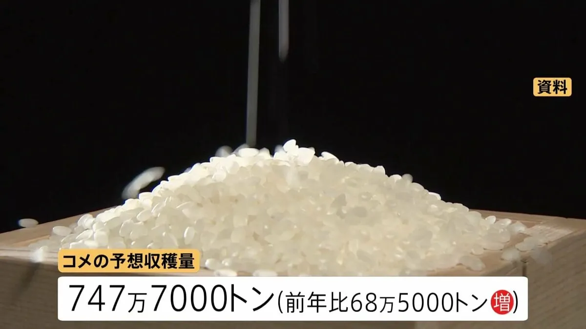 今年は「コメの収穫量」が大幅増加予想　去年より70万トン弱の増加・2017年以降で最高となる見込み　農水省