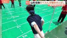 山形名物！さくらんぼ種吹きとばし大会　1000人超がエントリー　最高記録は16.4メートル　山形・寒河江市