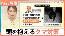 海を泳ぐクマの姿も…　もはや“災害” 学習能力の高いクマ対策の難しさ　人とのすみ分けも課題【Nスタ解説】