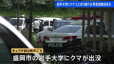 岩手大学にクマが出没・敷地内に留まる 「緊急銃猟」盛岡市内で初の実施を決定　麻酔銃による捕獲・駆除へ