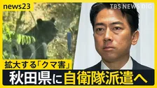 人間とクマの境界はどこへ…首都圏でも出没　ツキノワグマ出没件数は“過去最多ペース” 拡大する「クマ害」5日にも秋田県に自衛隊派遣へ【news23】