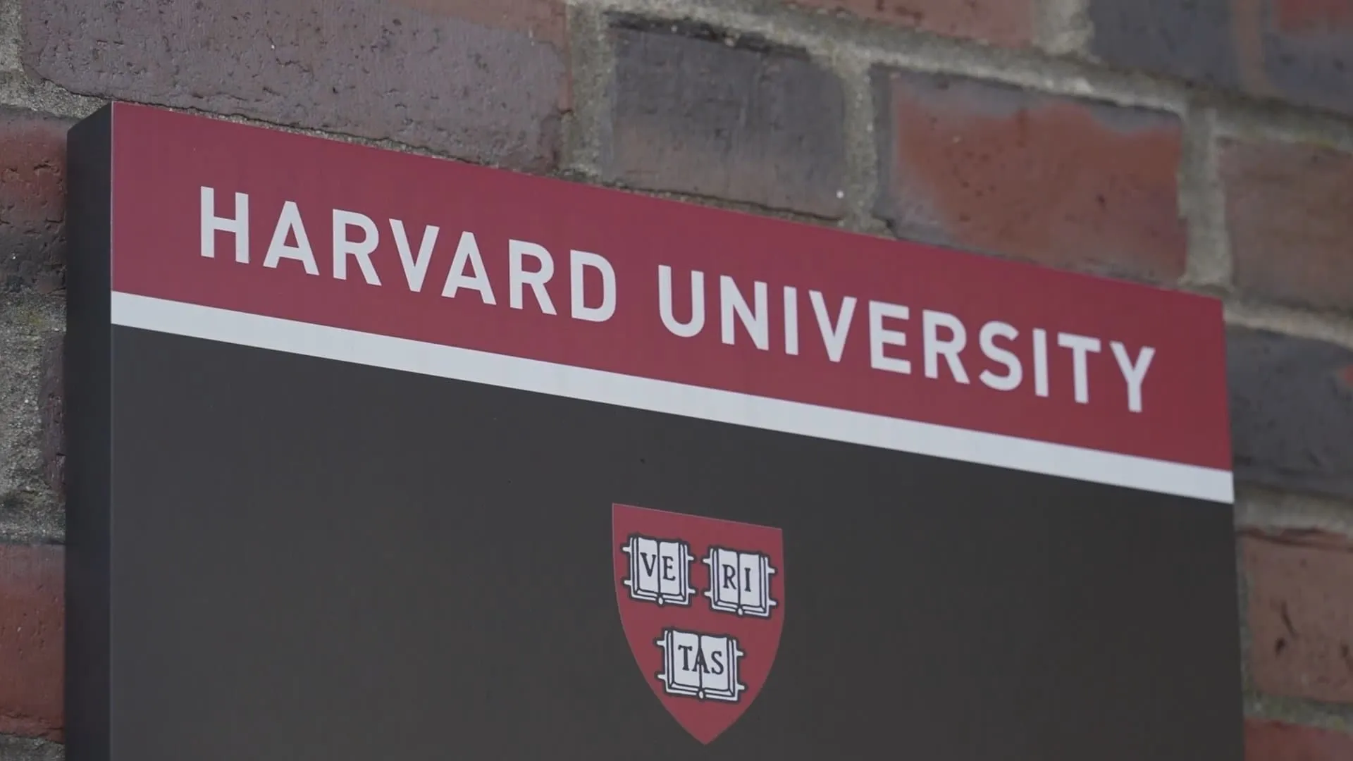 ハーバード大学が反論「法的根拠ない」 トランプ大統領の税制優遇取り消し表明受け