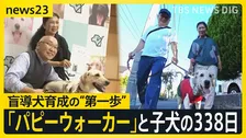【盲導犬候補犬クレール】パピーウォーカーとの1年間に密着「何をしてもかわいい時期を一緒に」盲導犬を支えるボランティア　出会いから別れまでの338日【news23】