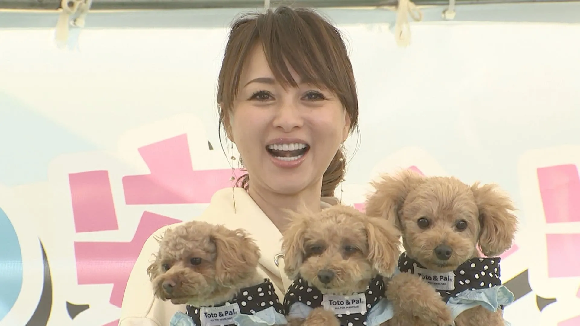 【渡辺美奈代】　ペットの災害時への備えを訴え　愛犬３匹も登場　おニャン子クラブ結成から40年で新田恵利と交流