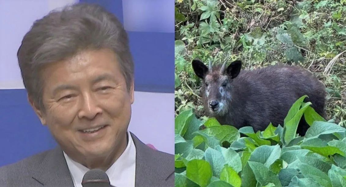 【 三浦友和 】　「なんとニホンカモシカ現る！」　国の特別天然記念物が　自身の陶芸小屋に