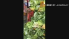 中国　白菜を発がん性指摘のホルムアルデヒドに浸したか「鮮度保つため」