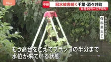 台風25号から1週間 “ブランコの半分まで水位が…”冠水続く千葉・酒々井町 盛り土崩落で排水できない状況、復旧のめど立たず 台風26号に不安の声