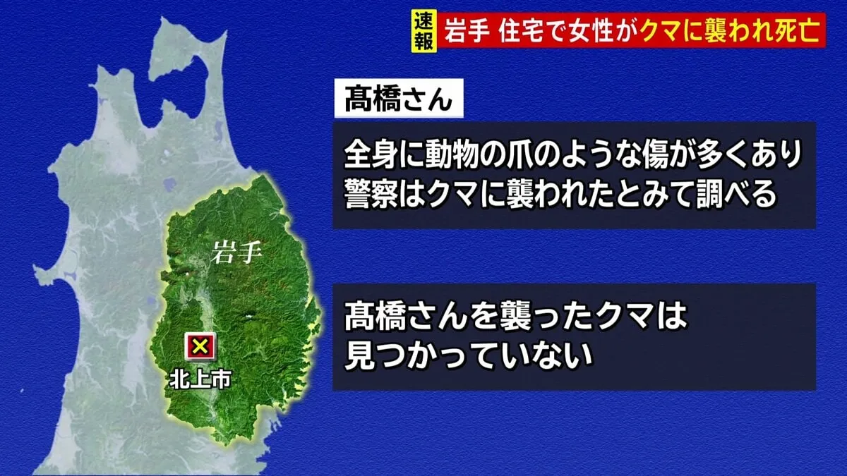 【速報】自宅の居間にクマが侵入　81歳の女性が死亡　襲ったクマはまだ見つからず　全身に“爪の傷”　岩手・北上市