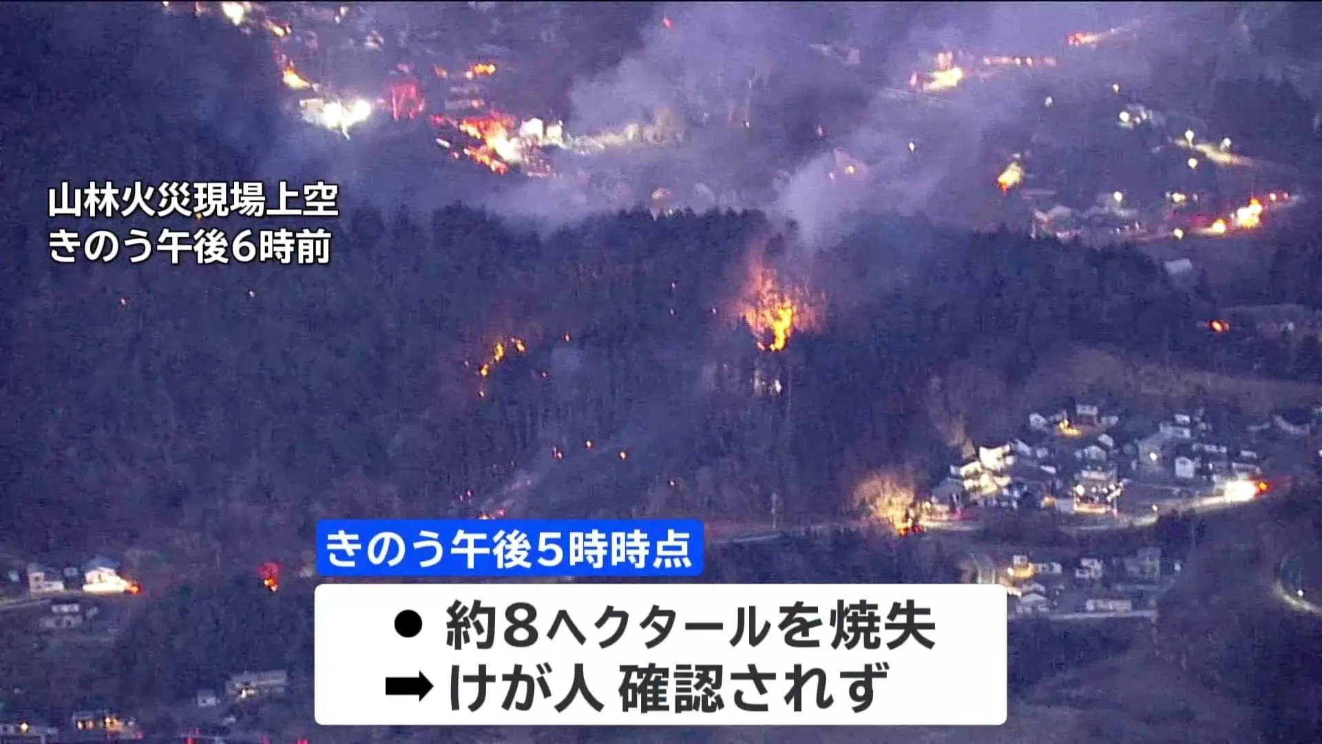 岩手で山林火災　2つの市の500人以上に避難指示