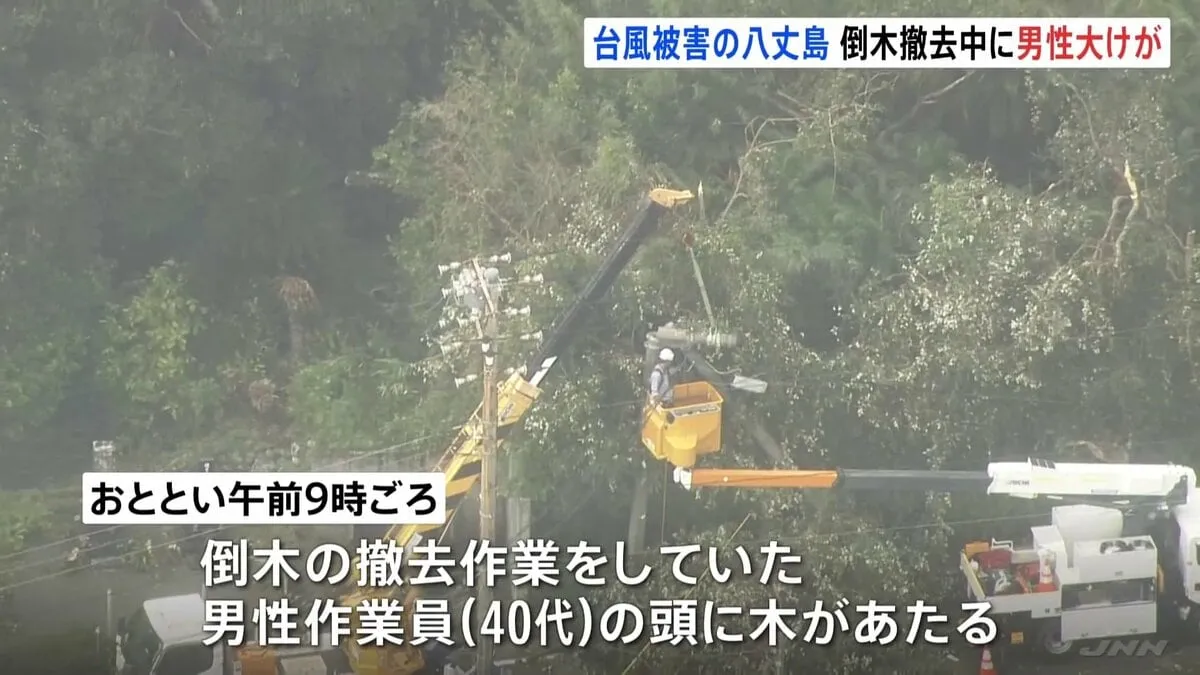 倒木の撤去作業中に40代男性が大けが　台風22号・23号で被害受けた八丈島で