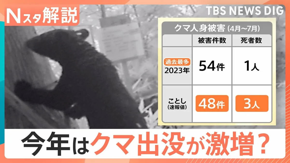 今年はクマ出没が激増？クマと遭遇しない対策、撃退スプレーの注意点【Nスタ解説】
