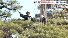 金沢・兼六園も春の装いへ　園内800か所の「雪吊り」取り外し作業始まる