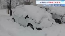 新潟は平野部でも大雪見込み 平年の倍以上の積雪も　交通障害に警戒