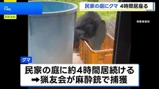 クマが民家の庭に4時間、猟友会が麻酔銃を使って捕獲　長野・安曇野市 