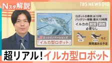 水族館のイルカがロボットに?サーカスのライオンやゾウも…動物愛護で変わる伝統【Nスタ解説】