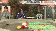 自然豊かな「深大寺」植物公園も…4800種類 世界の植物 ～すたすた中継～