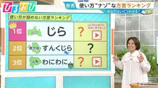 使い方“ナゾ”な方言ランキング「ちゅんちゅん」は火傷に注意！？「わにわに」「すんくじら」ってどんな意味【ひるおび】
