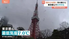 冬の寒さに逆戻り…雨のひな祭り、東京のランドマークではみぞれも