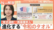 便利に進化！“令和のタオル”「一枚二役」のバスタオルに…“異業種参入”も、「タオルの替え時は？」街で聞いてみた【Nスタ解説】