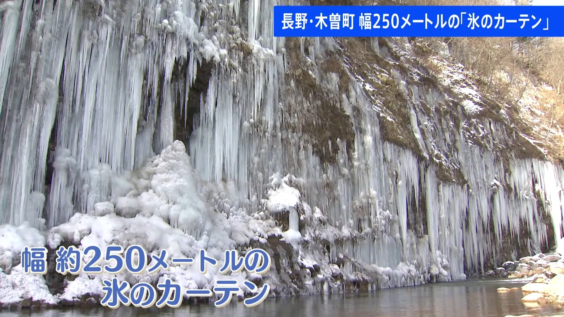 幅およそ250メートルの“氷のカーテン”が順調に成長　長野県木曽町の白川氷柱群