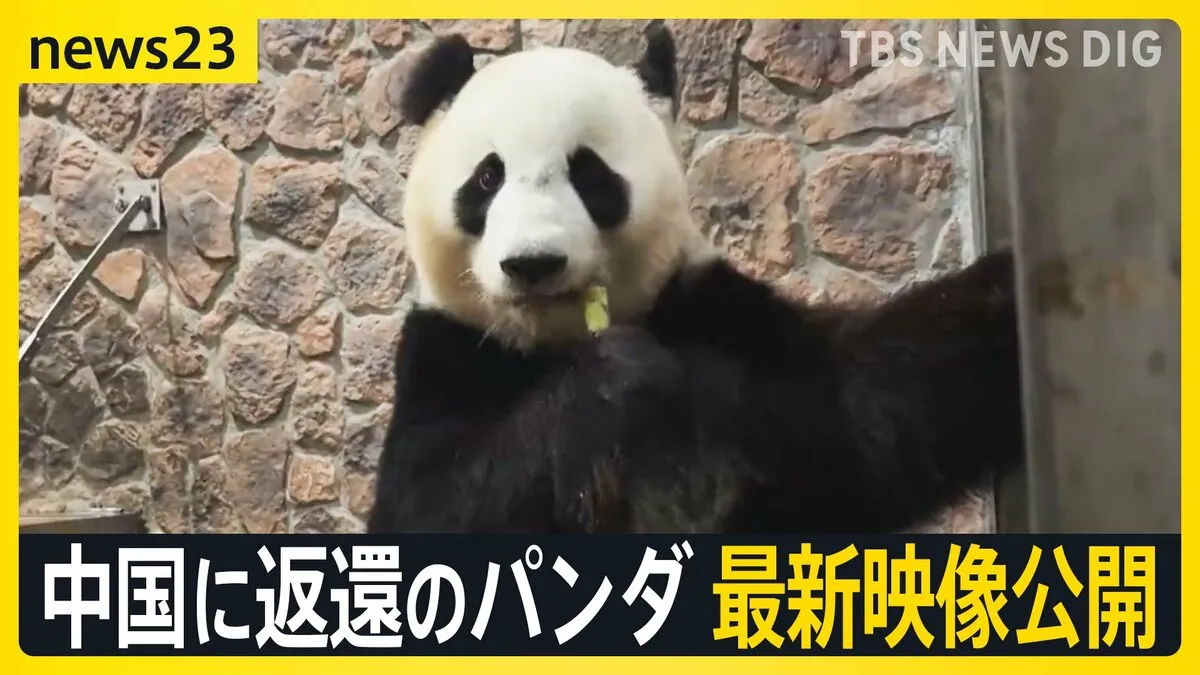 中国に返還の和歌山のパンダ最新映像公開“ゼロパンダ”は防げる？日中がジャイアントパンダ貸与を協議　日本産牛肉は中国に輸出再開に向け“前進”【news23】