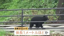 山形でクマの出没相次ぐ 山形市の東海大山形高校付近で目撃　南陽市の赤湯小学校付近でもクマ目撃、学校のガラス割られる被害も
