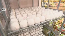 たまご価格　最高値更新の先月からほぼ横ばいも高水準続く
