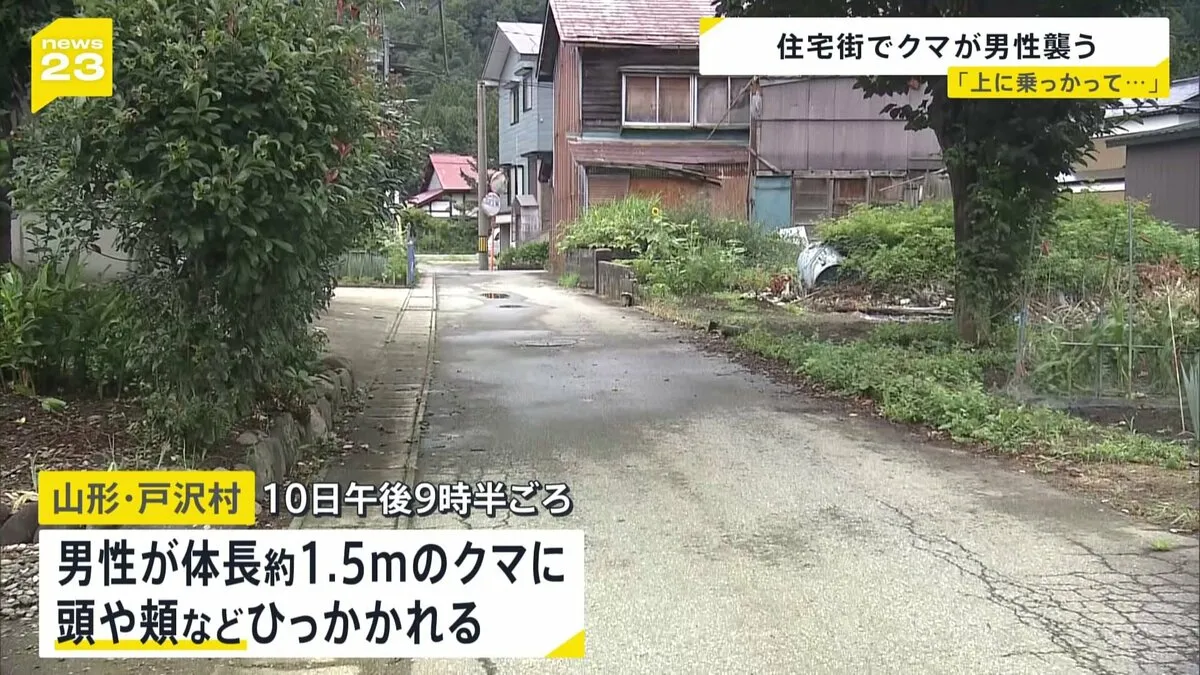 「(クマが)乗っかって」 住宅街で男性がクマに襲われけが 山形県