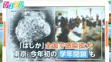 感染力“インフルの10倍”「はしか」全国で急増　ワクチン接種の効果は【ひるおび】