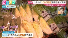 白菜1玉1000円超え！葉物野菜高騰いつまで　今お買い得な野菜を秋葉社長に聞く【ひるおび】