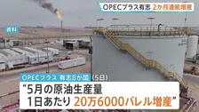 「供給全体の安定性に影響」OPECプラス有志8か国　5月も原油生産量20.6万バレル増産　エネルギー施設攻撃に懸念