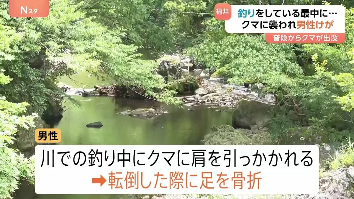釣りをしていた男性がクマに襲われ、転倒した際に足の骨を折る　福井県