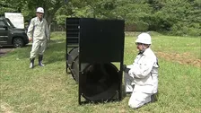 神戸市　クマ専用の捕獲わな設置　市内で初めてツキノワグマの出没が確認されたことを受け