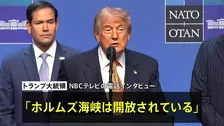 トランプ大統領 ホルムズ海峡「開放されている」　NBCテレビの電話インタビューで