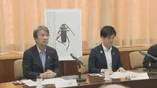 サクラの木などを食い荒らし倒木の要因にも…特定外来生物「クビアカツヤカミキリ」農水省と環境省が第1回の対策本部を開催