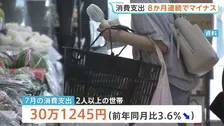 7月の消費支出3.6%減で8か月連続マイナス　節約志向の一方で外食やゲーム課金の消費拡大　総務省家計調査
