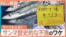 【サンマがピンチ】「今年はダメかも…」店長苦悩、1匹の価格予想は400円～500円 不漁のワケ【Nスタ解説】