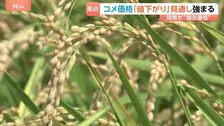 コメ価格“値下がりするとの見方”さらに強まる　新米価格の下落見通しも影響か　小売価格が値下がりしていくのかが焦点