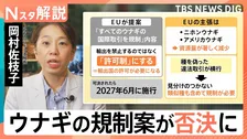 ウナギ全種の規制は否決！“違法取引”横行でEUが提案　7割を輸入の日本　食文化×資源を守るには【Nスタ解説】