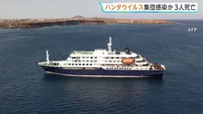 大西洋航行のクルーズ船で集団感染か 3人死亡　呼吸器疾患や腎機能障害を引き起こす「ハンタウイルス」
