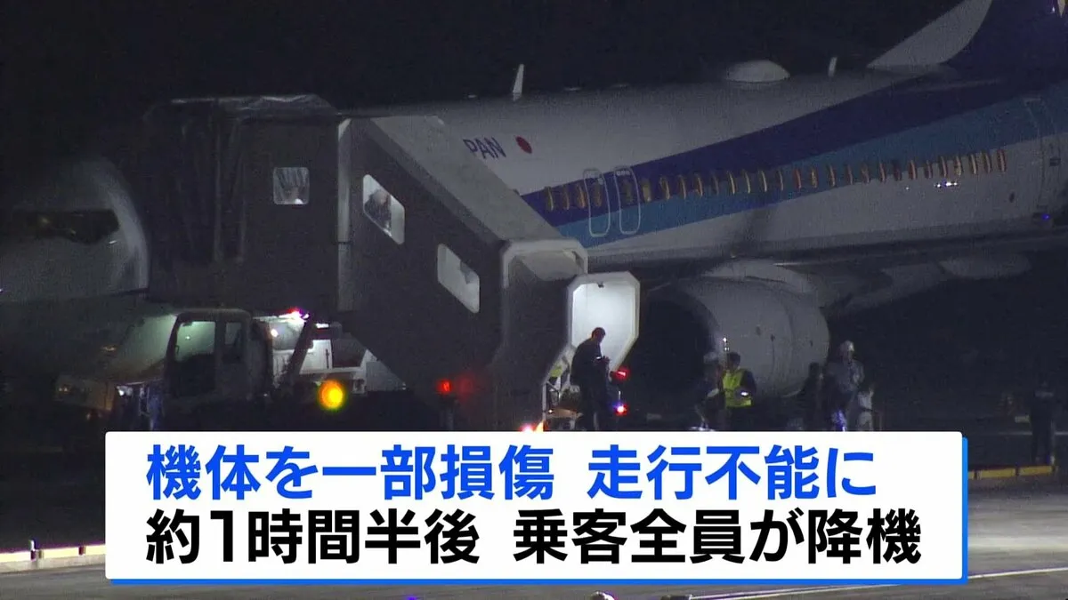広島空港でANA機が“走行禁止エリア”に誤進入　機体を一部損傷し走行不能に　けが人なし