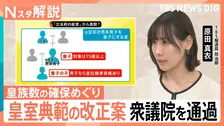 皇室典範改正が案衆議院で可決も…懸念の声　「とりまとめ案」から「政府案」で“立法府の総意”から逸脱？【Nスタ解説】
