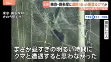 都内でクマ出没か「黒いものが前を」…道路沿いの崖を軽やかに登る様子　キャンプや登山で観光客多く訪れる東京・奥多摩町で